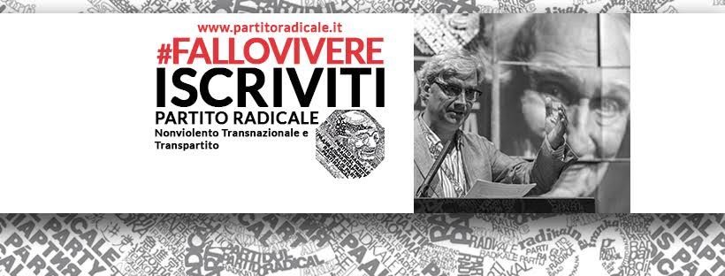 fallo vivere
