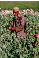 baba