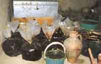 image_report_98-10-31_3
