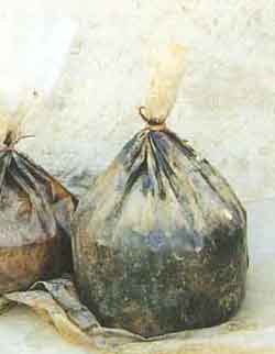 image_report_98-10-31_8